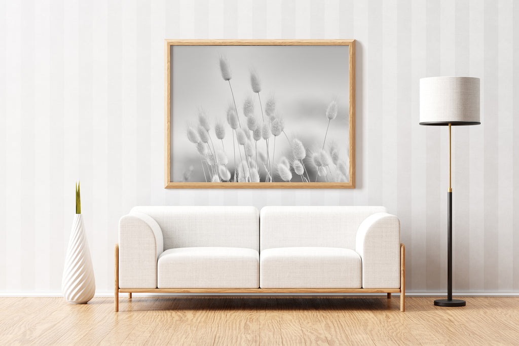 Bunny Tail Grass - Black & White