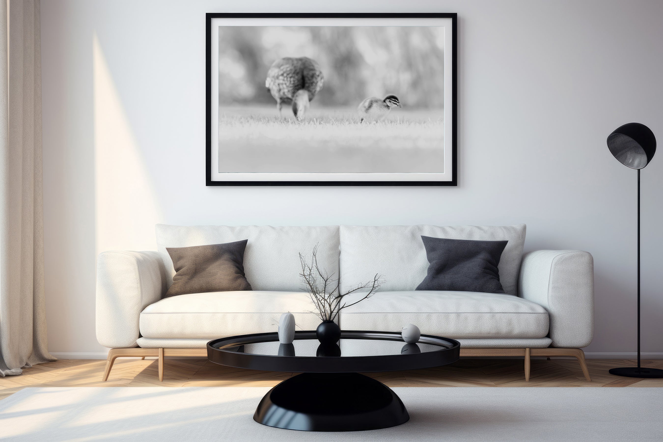 Dalyellup Duckling Family - Black & White