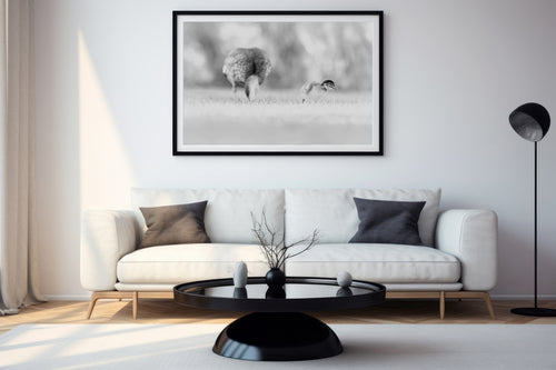 Dalyellup Duckling Family - Black & White